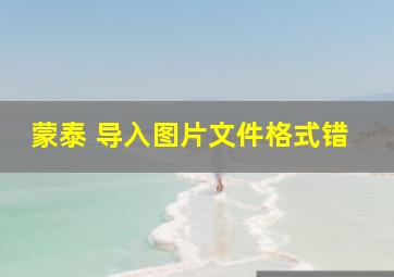 蒙泰 导入图片文件格式错